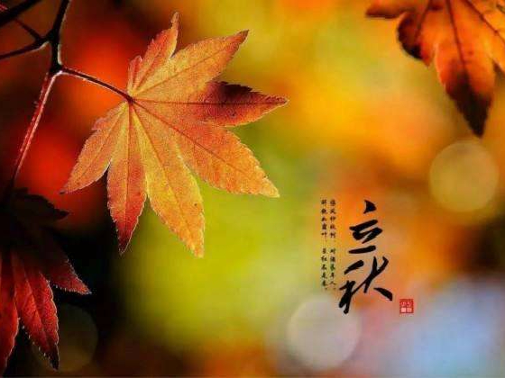 秋來了，莫慌！智慧主機依舊值得推薦的